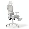 GOODSILO Ergonomic Mesh Gaming Chair Adjustable Footrest-1
