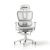 GOODSILO Ergonomic Mesh Gaming Chair Adjustable Footrest-0