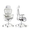 GOODSILO Ergonomic Mesh Gaming Chair Adjustable Footrest-3
